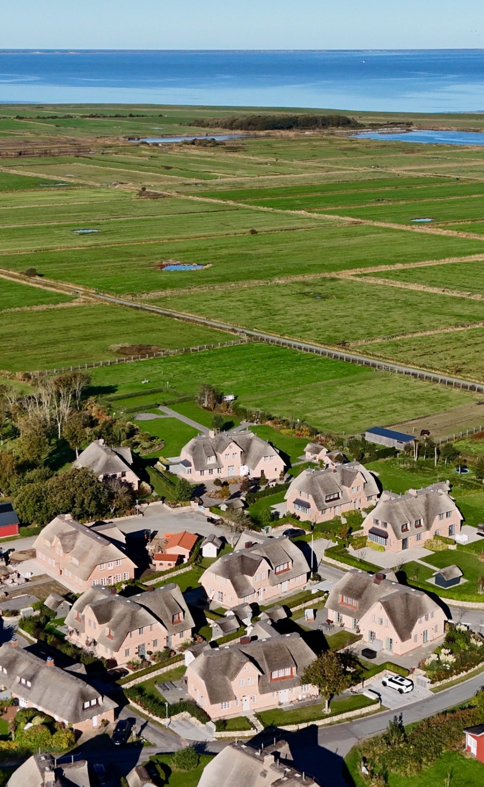 Ferienhaus mit Reetdach, Garten und Terrasse unter blauem Himmel.